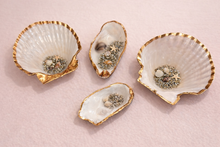 Load image into Gallery viewer, Coastal Sea Shell Sparkle
