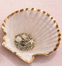 Load image into Gallery viewer, Coastal Sea Shell Sparkle
